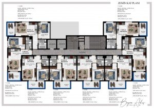 77b4552c40 (1).jpg